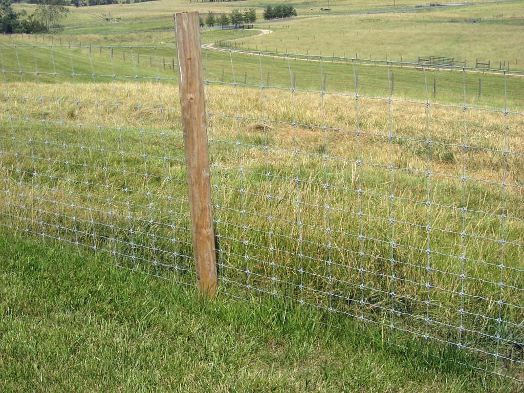 woven wire fence