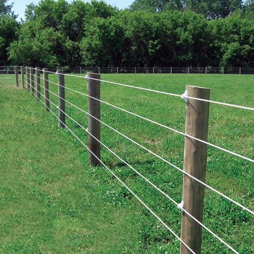 Horse Kote Fence